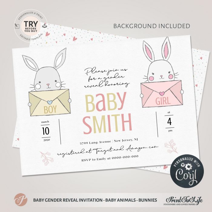 Gender reveal Announcement | He or She invite | Boy or Girl Card | Baby Animals Mice 1